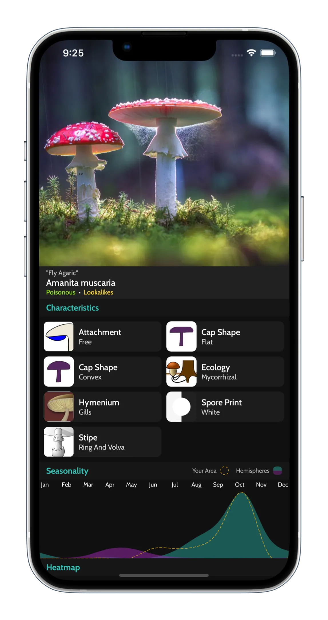 Welcome to ShroomID!